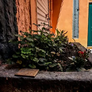 Little House Appartement